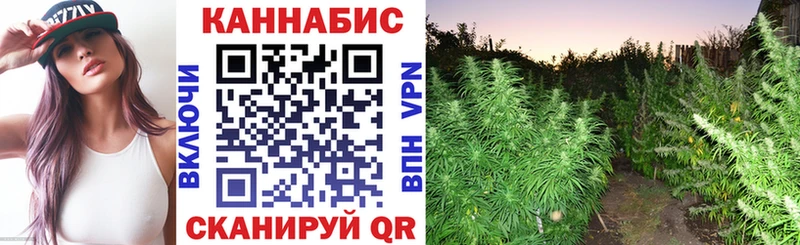 hydra ссылка  Михайлов  Конопля семена 